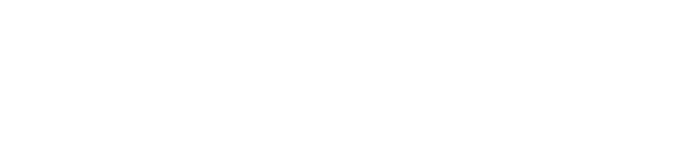 Shanara Holidays