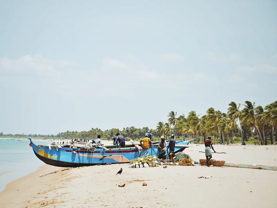 Painted outrigger fishing boats on a palm-fringed Sri Lankan beach