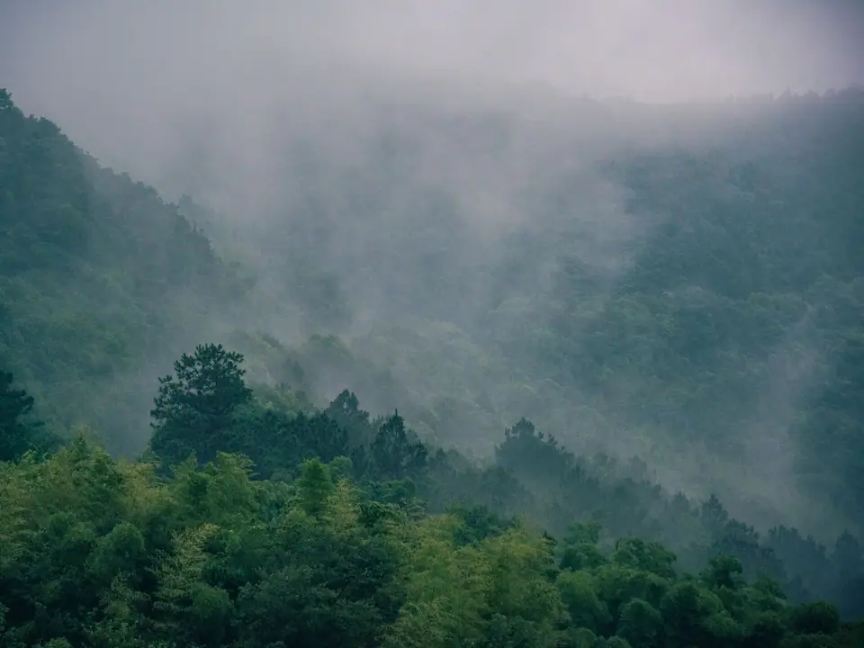 Mist drifting over the forested ridges of Sri Lanka's highlands