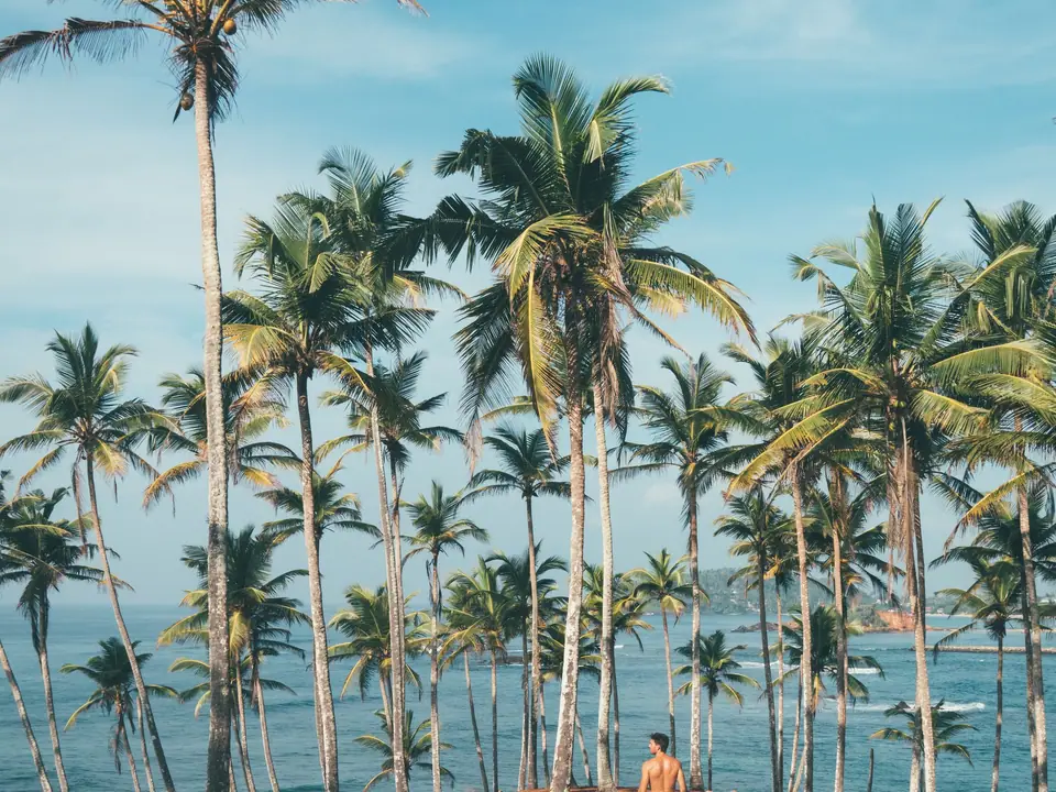 Coconut Tree Hill above the turquoise sea at Mirissa