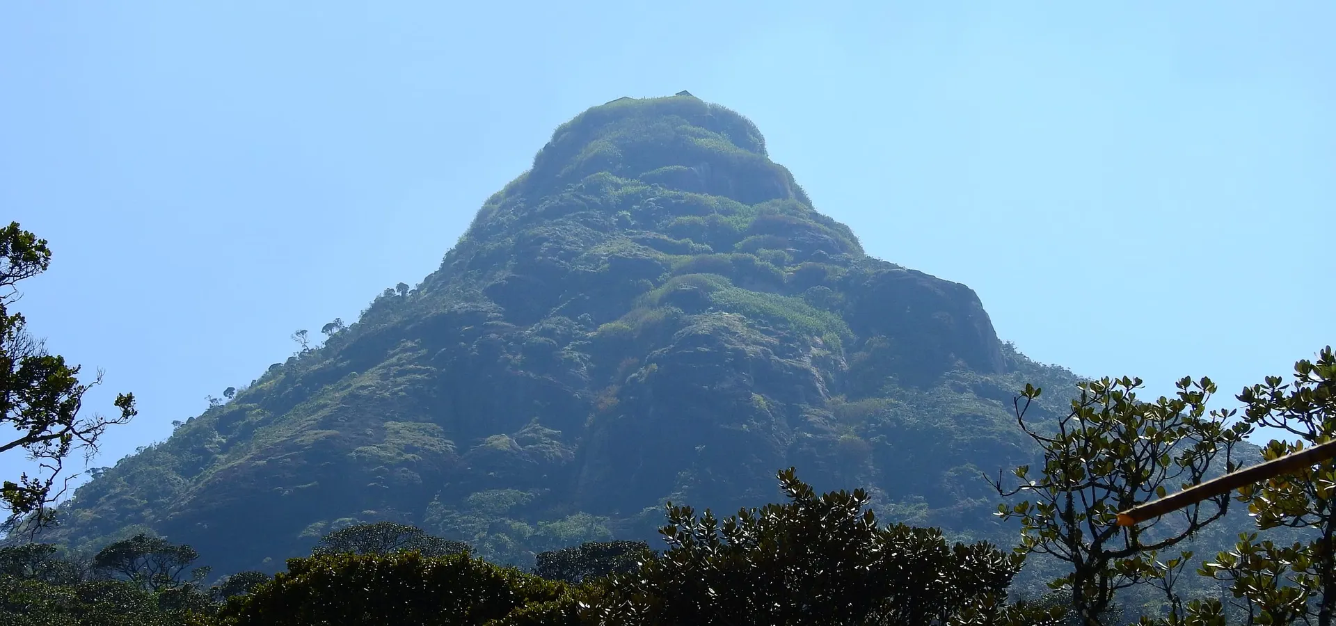 The sacred cone of Adam's Peak (Sri Pada) rising above the forest