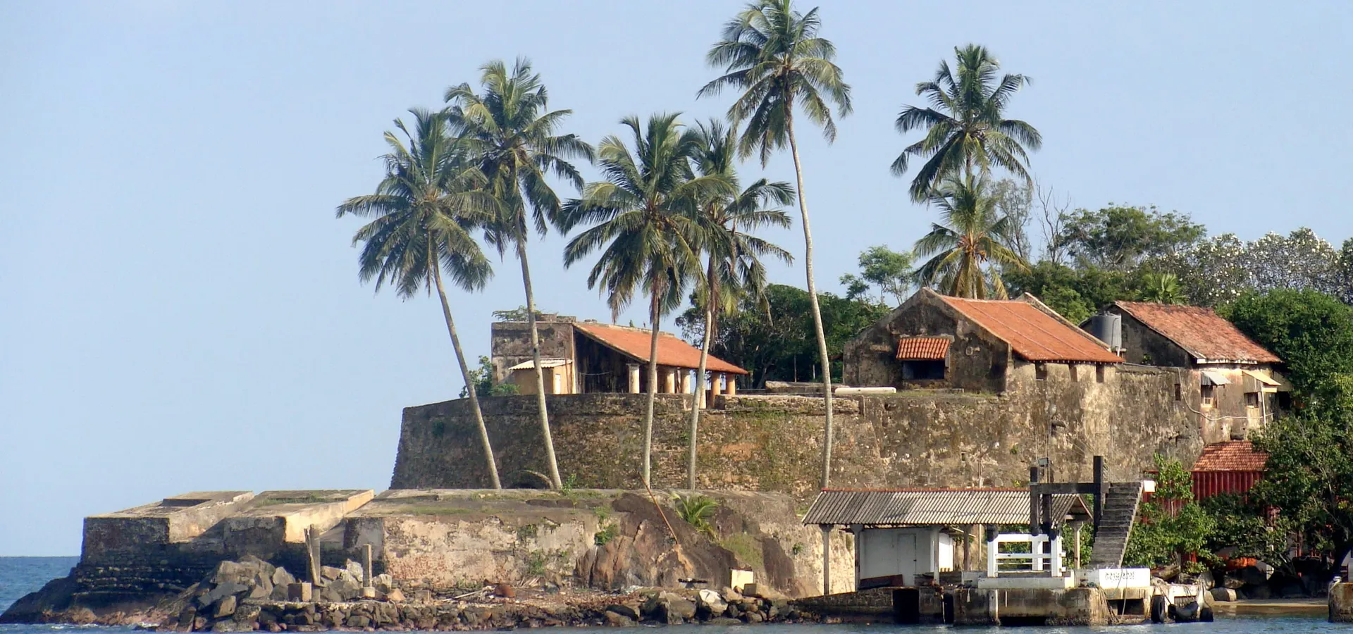 The seaward walls of Galle Fort crowned with coconut palms